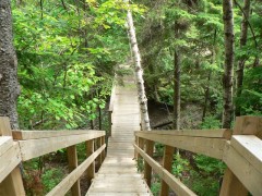 Sentier Mitiwee